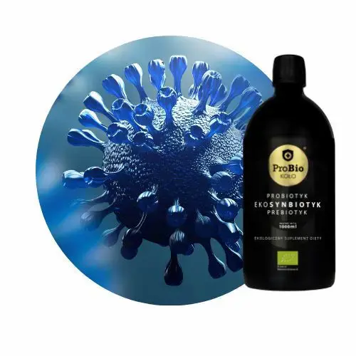 Ekologiczny probiotyk i synbiotyk na jelita o maksymalnej przyswajalności